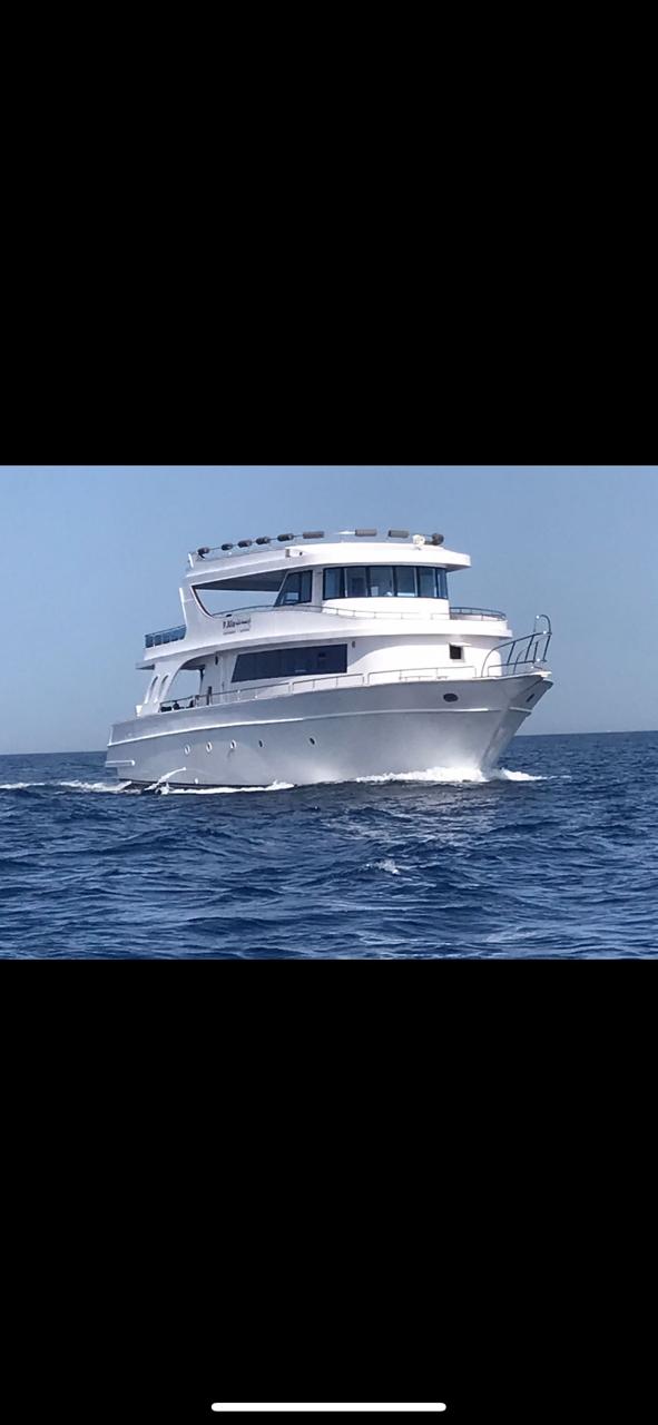 Best Sea Trips in Hurghada | Orange Bay & Snorkeling with Bluebird Hurghada