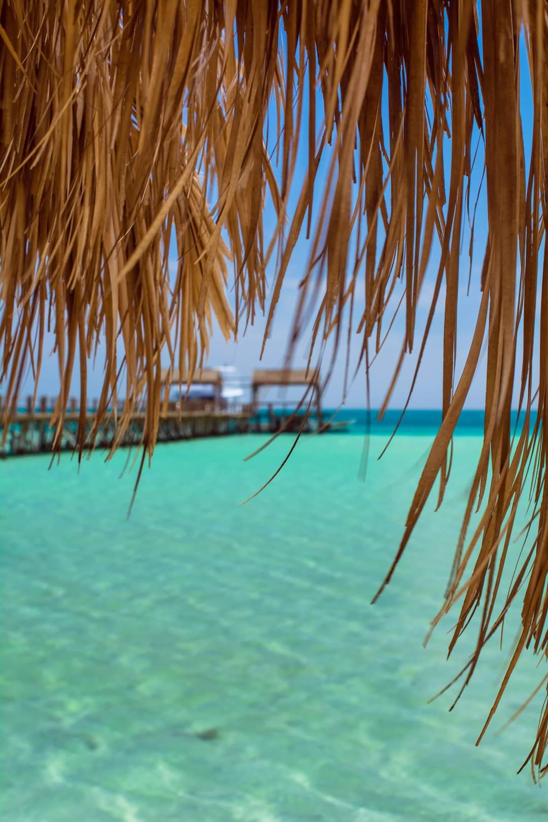 New PostSea Trips in Hurghada